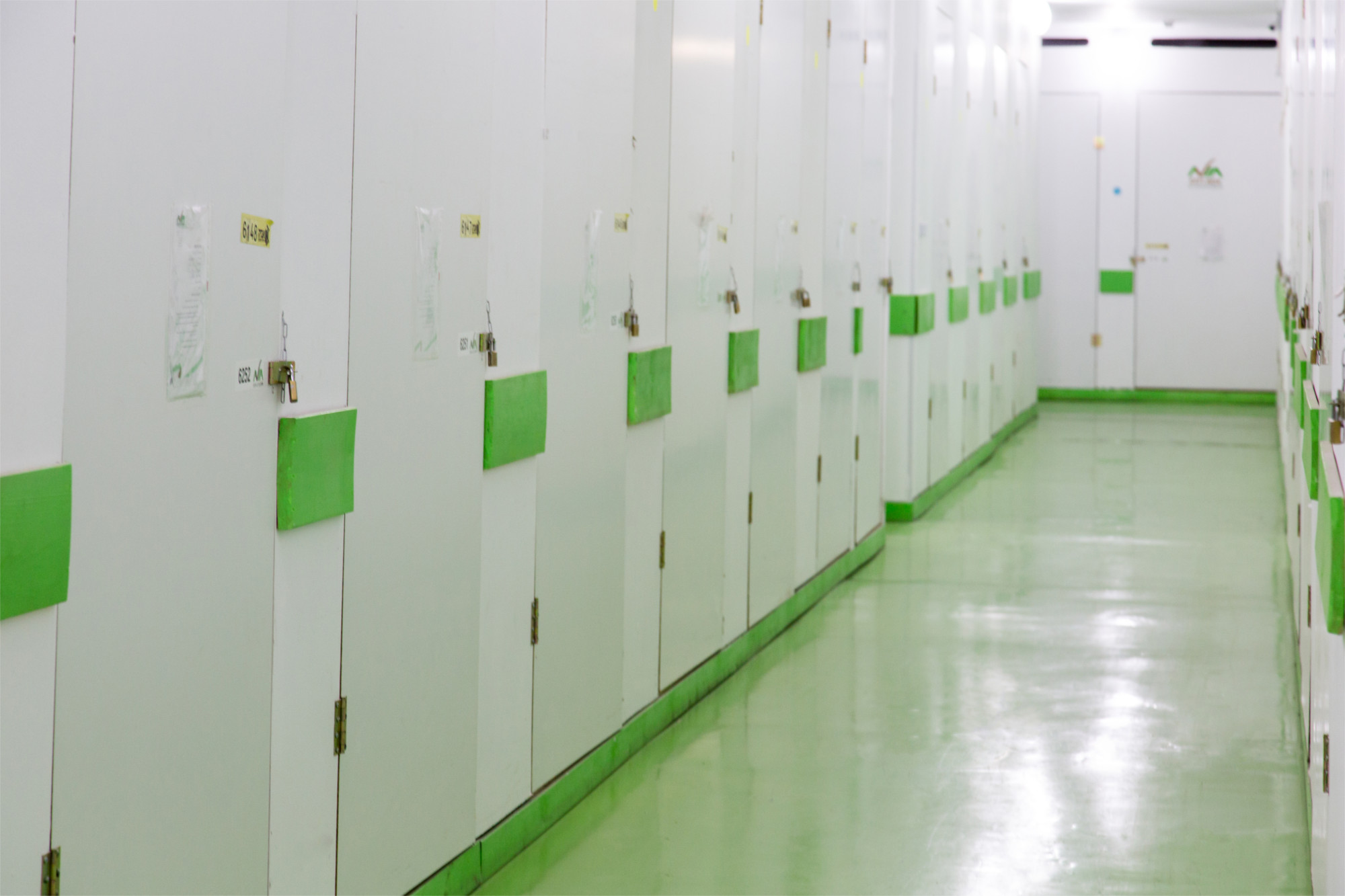 סניף חולון - יחידות אחסון | מחסנים להשכרה בחולון