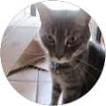 lex7100 Avatar